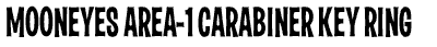 area-1 carabineer key ring