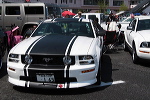 SCN2011
