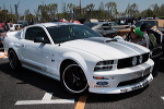 SCN2011