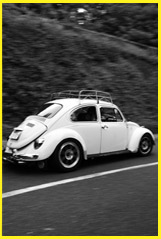 14th MOONEYES VOLKSWAGEN TYPE II PARTY