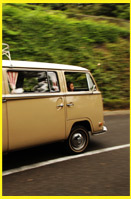 14th MOONEYES VOLKSWAGEN TYPE II PARTY