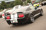 Photo: Muscle Maniac Event