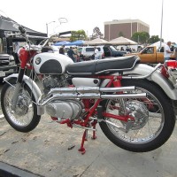 gothonda-0144