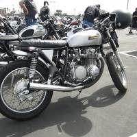 gothonda-0164