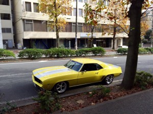 z28-cruise1