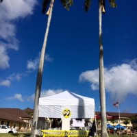 hawaii-01