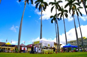hawaii-07