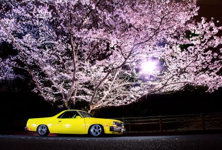 HCS2022 Campaign "Peace" & Sakura season at MOONEYES