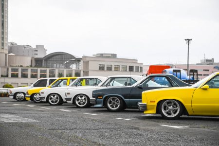 35th SCN