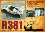 r381_1000