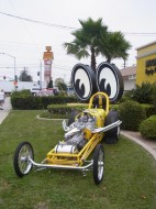 wildman-099