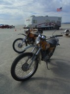 wildman-144