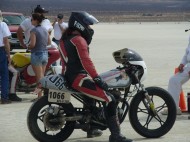wildman-152