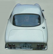 wildman-blog017